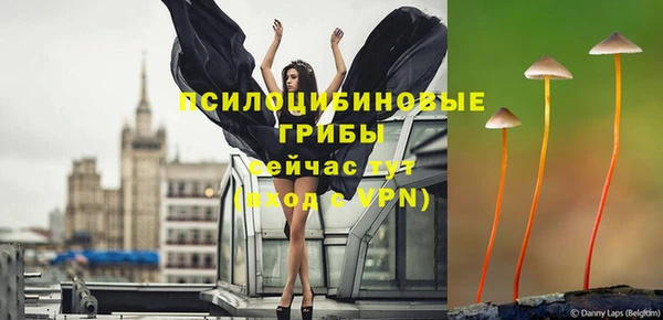 apvp Медногорск