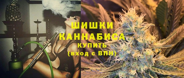 прущие крисы Медвежьегорск