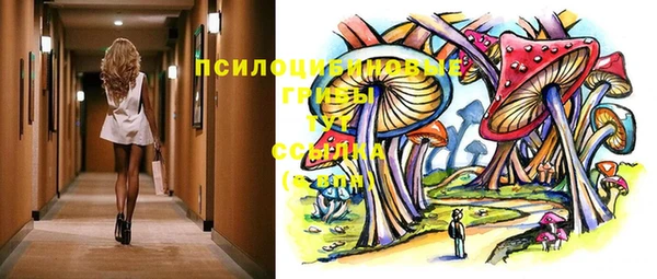 прущие крисы Медвежьегорск