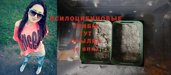 apvp Медногорск