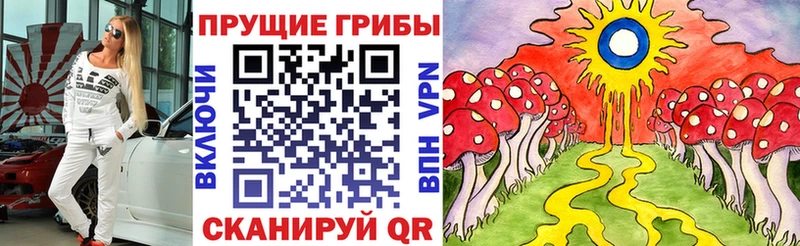 Псилоцибиновые грибы Psilocybine cubensis  наркошоп  Новый Оскол 